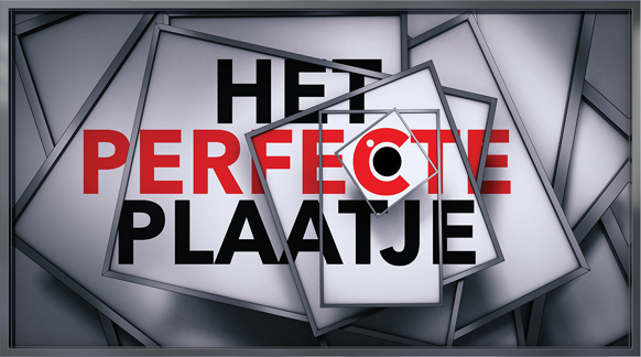 Jurylid in Het perfecte plaatje